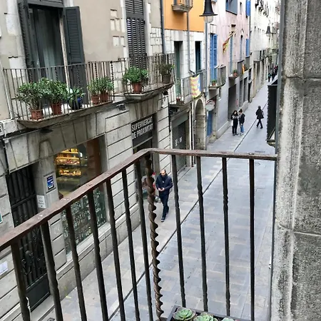 Apg Palau Salieti 1 Apartment Girona